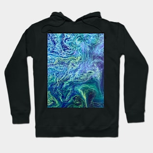 Cyanobacteria bloom, satellite image (C026/4193) Hoodie